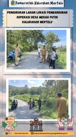 Pengukuran Lahan Lokasi KDMP Kalurahan Mertelu